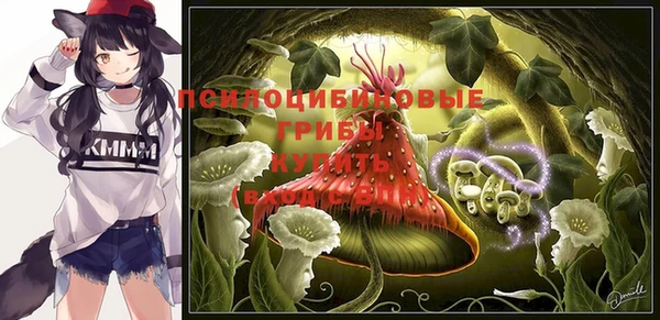 мескалин Каменск-Шахтинский