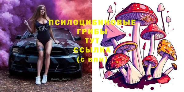 мескалин Каменск-Шахтинский