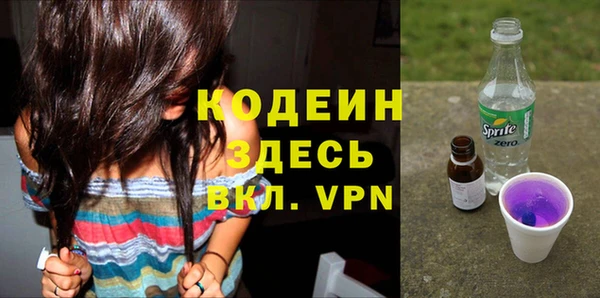 первитин Каменка