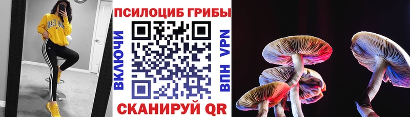 Галлюциногенные грибы Magic Shrooms  Купить  Елизово 